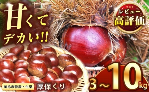 【先行予約】厚保くり（生栗）選べる3～10kg