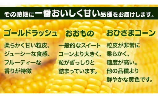 茹でてよし、焼いてよし🌽✨