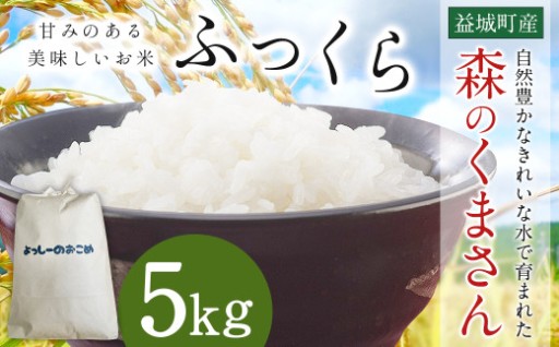 令和7年産 益城町 精米 森のくまさん 5kg