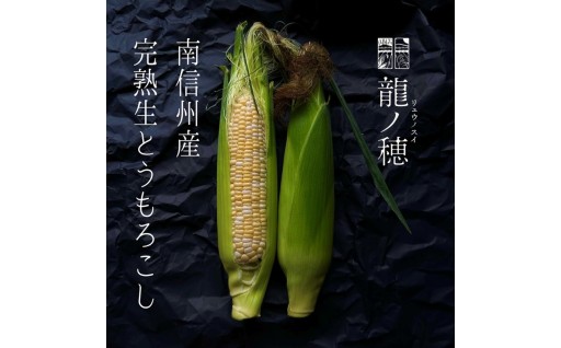 ＜2026年分先行受付＞南信州産 完熟生とうもろこし