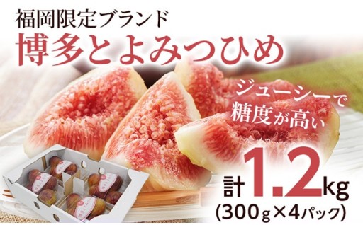 ジューシーで糖度の高いいちじくはいかがでしょうか✨