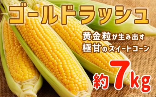 追加いただきました！井上農園　ゴールドラッシュ 