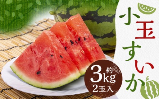 小玉 すいか 2玉入り 3Lサイズ 約3kg