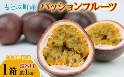 【2026年発送】もとぶ町産パッションフルーツ　贈答用(約1kg)