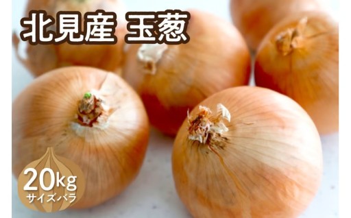 万能野菜の玉ねぎはいかがですか？🧅