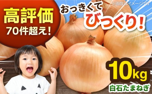 毎日使える！甘くてやわらか佐賀の玉ねぎ10kg