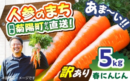 驚くほど甘い菊陽町産、春にんじん