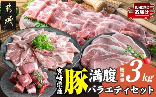 都城市より～宮崎県産豚 満腹バラエティ3kgセット≪みやこんじょ特急便≫