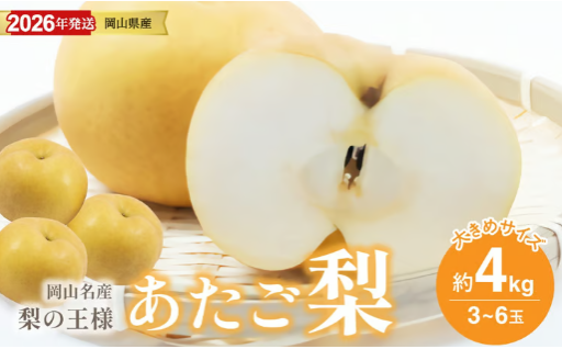 岡山名産 👑 あたご梨