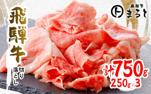 ＜飛騨牛＞切り落とし250g×3　合計750g