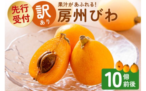 【訳あり】お勧め！果汁があふれる房州びわ