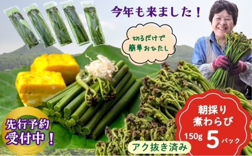 【西わらびシーズン到来】農家直送！朝採り「煮わらび」