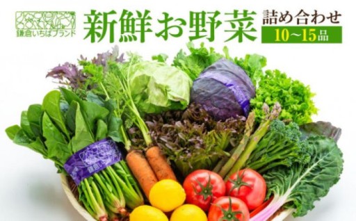 「鎌倉いちばブランド」新鮮お野菜詰め合わせセット 10～15品