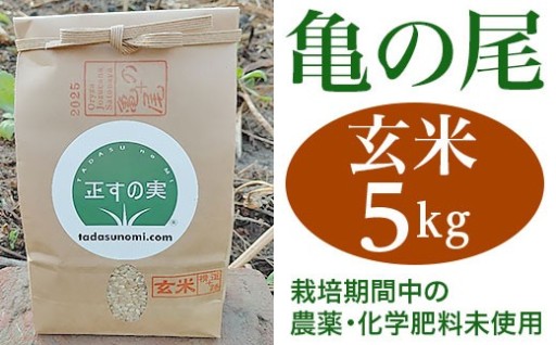 自然農法で生産した希少価値の高い、食べる『亀の尾』