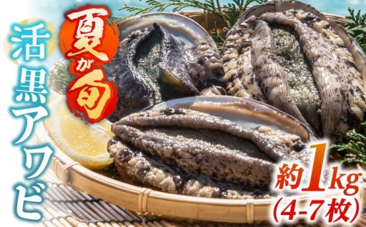 【旬をお届け！】噛むたび磯の香りひろがる黒アワビ