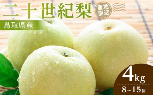 【2026年9月発送】二十世紀梨 4kg