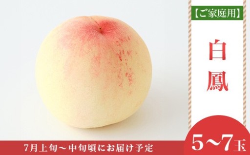 岡山白桃 白鳳 5～7玉（ご家庭用）