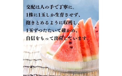 美人西瓜、まもなく受付終了です！！