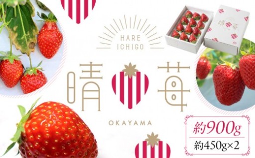 岡山県産 晴苺 ( はれいちご ) 約950g（450g×2）