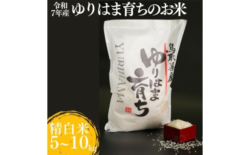 ゆりはま育ち　こだわりの一粒