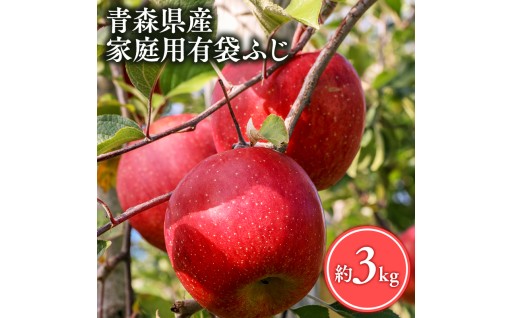 ≪5月～6月発送≫【訳あり】家庭用 有袋ふじ３kg