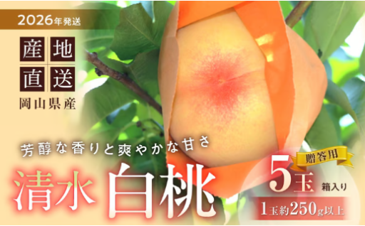清水白桃🍑5玉入り✨