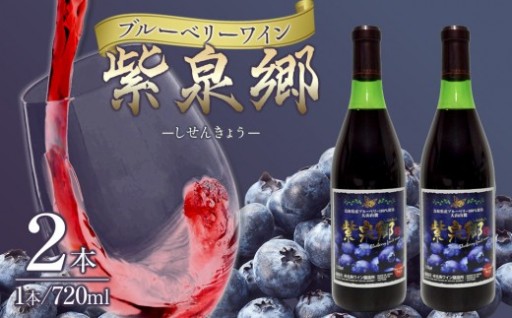酒 ワイン ブルーベリーワイン 紫泉郷（しせんきょう） 2本 （ 720ml× 2 ）