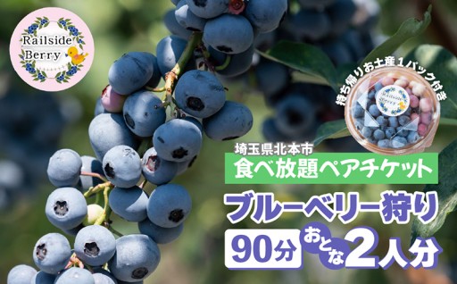 【6月7月限定】ブルーベリー狩り食べ放題ペアチケット
