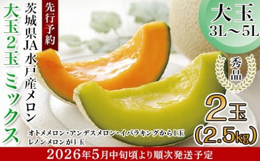 茨城県JA水戸産メロン【秀品】大玉2玉ミックス（2.5kg）