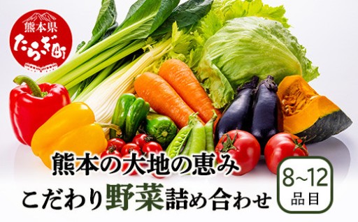 熊本の大地の恵み 旬のこだわり野菜詰め合わせ 8〜12種類