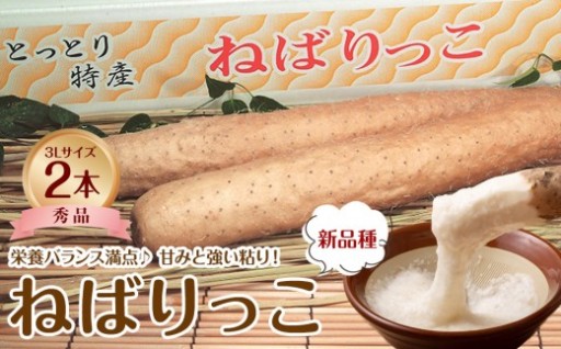 【ＪＡ】ねばりっこ　秀3Ｌ×2本