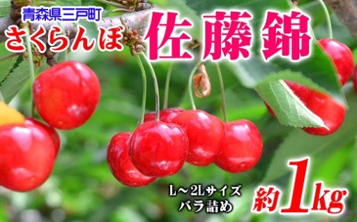 さくらんぼ「佐藤錦」2026年産の先行予約　受付中！【青森県三戸町】