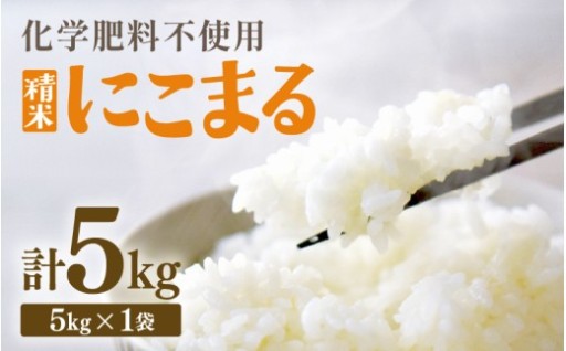 【先行予約】発送直前に精米してお届け🌾