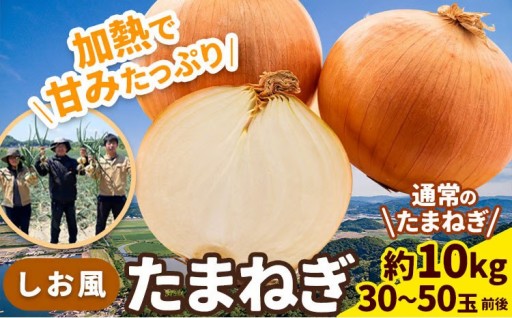 【先行予約】人気返礼品しお風たまねぎ