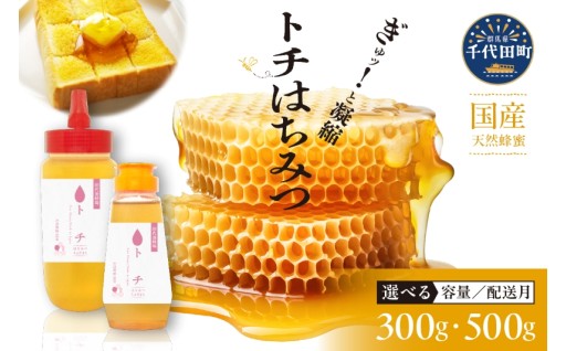 【選べる配送月・内容量】はちみつ /とち（栃）蜜🐝🫙