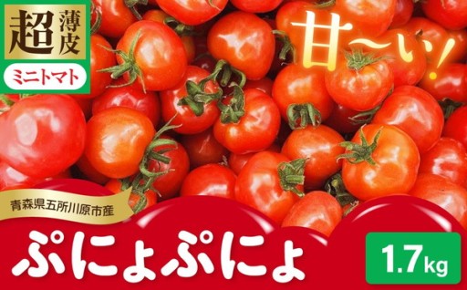 超薄皮ミニトマト「 ぷにょぷにょ」 6月下旬発送開始 