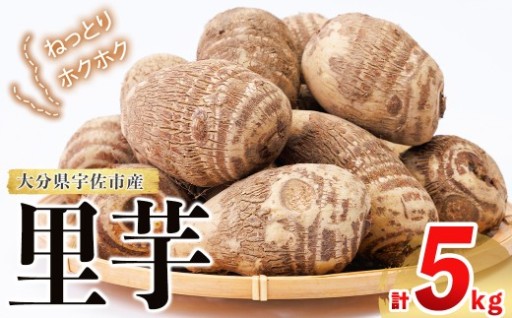 ＜先行予約受付中！10月中旬以降順次発送予定＞里芋 (計5kg)