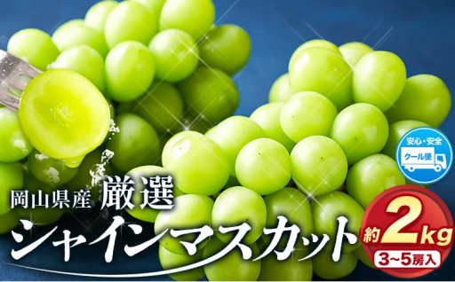 大容量2kg🍇ご家庭用に大好評！訳ありシャインマスカット✨