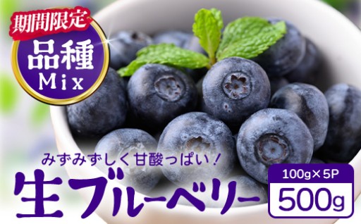 【期間限定】南大隅産 (生)ブルーベリー 品種ミックス詰め合わせ ≪100g×5P≫ BO-1 