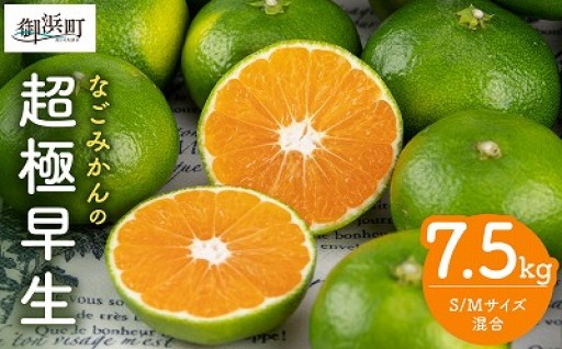 【容量たっぷり7.5kg👀】なごみかんの超極早生7.5キロ🍊