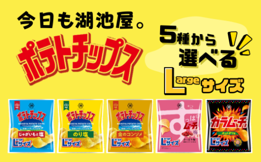 🥔【選べる5種】湖池屋Lサイズポテトチップス 12袋セット