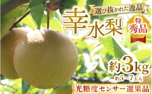 【先行予約】シャキシャキ食感✨選び抜かれた逸品