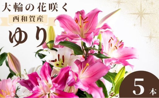 今年も来ました！大輪の花咲く、高原のユリ