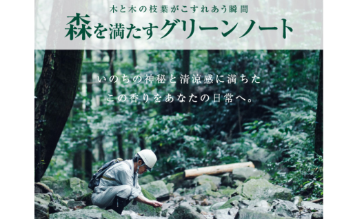語呂合わせに関する5月19日は何の日？🌳✨