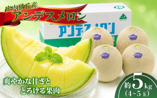 ☀️夏の味覚🏖️庄内砂丘のアンデスメロン🍈選果場より直送🚚₌₌3