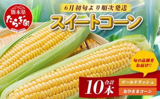 【6月初旬より順次発送】スイートコーン 10本入り ゴールドラッシュ おひさまコーン 124-0501