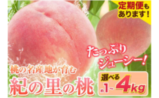 【お試しサイズや定期便まで！】桃の一大産地・和歌山より直送 紀の里の桃！