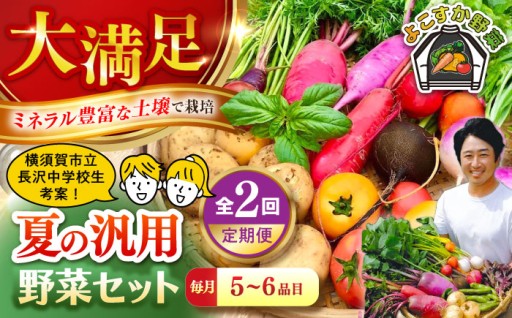 【先行予約】【全2回定期便】夏の汎用野菜セット（5～6品目）夏（7月～8月）【鈴也ファーム】