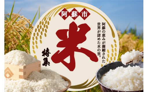 冷めても美味しい！毎日の食卓とお弁当を特別にする阿蘇の米