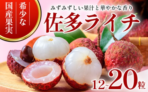 【期間限定・数量限定】 2026年7月より順次発送予定 生でお届け 佐多ライチ 約12粒～20粒 SG-1